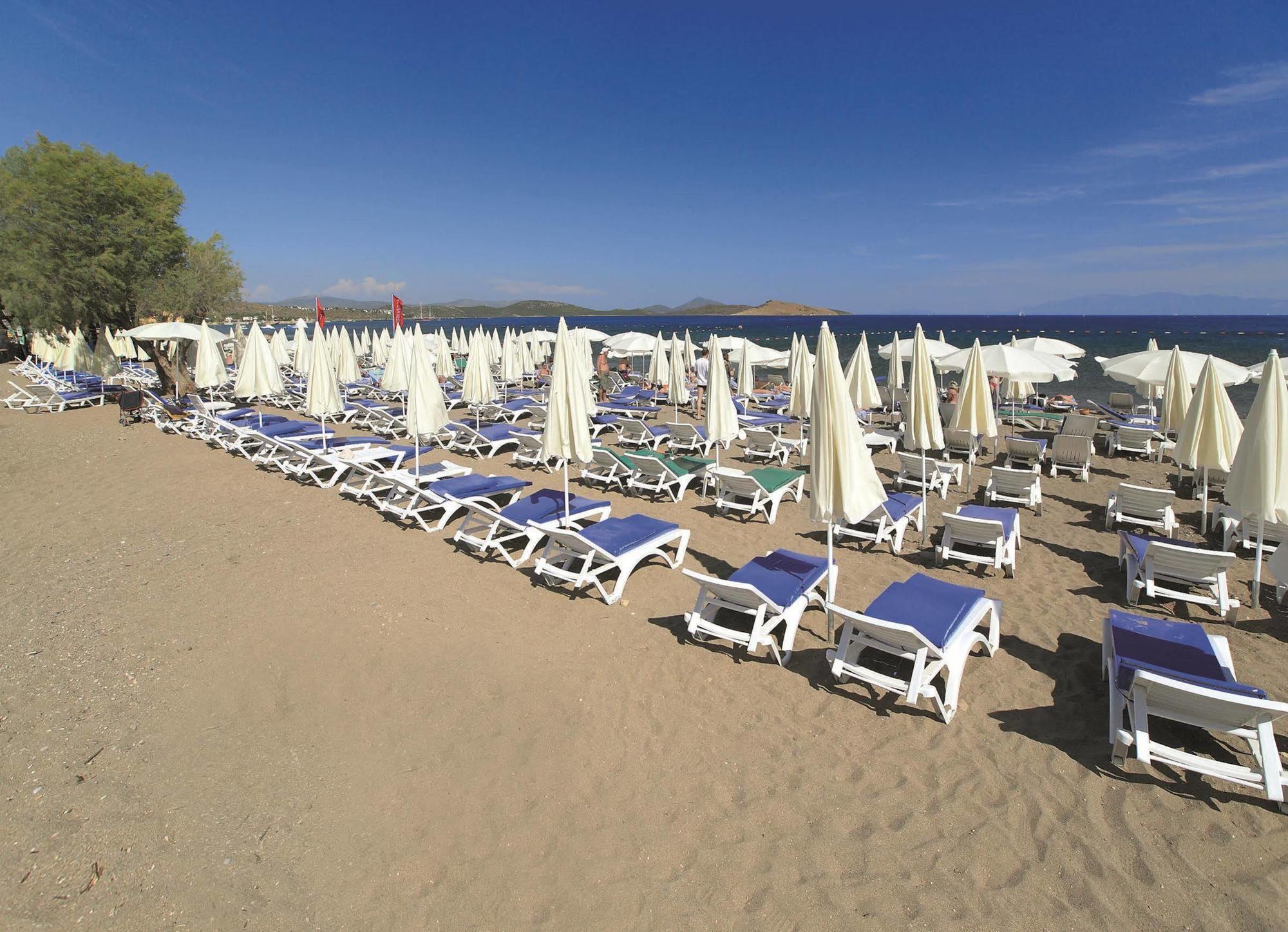 Отель petunya beach resort 4. Petunya Beach 4* Бодрум. Petunya Beach Resort отель в Турции. Петунья отель Бодрум. Отель петуния Бич Резорт Бодрум.